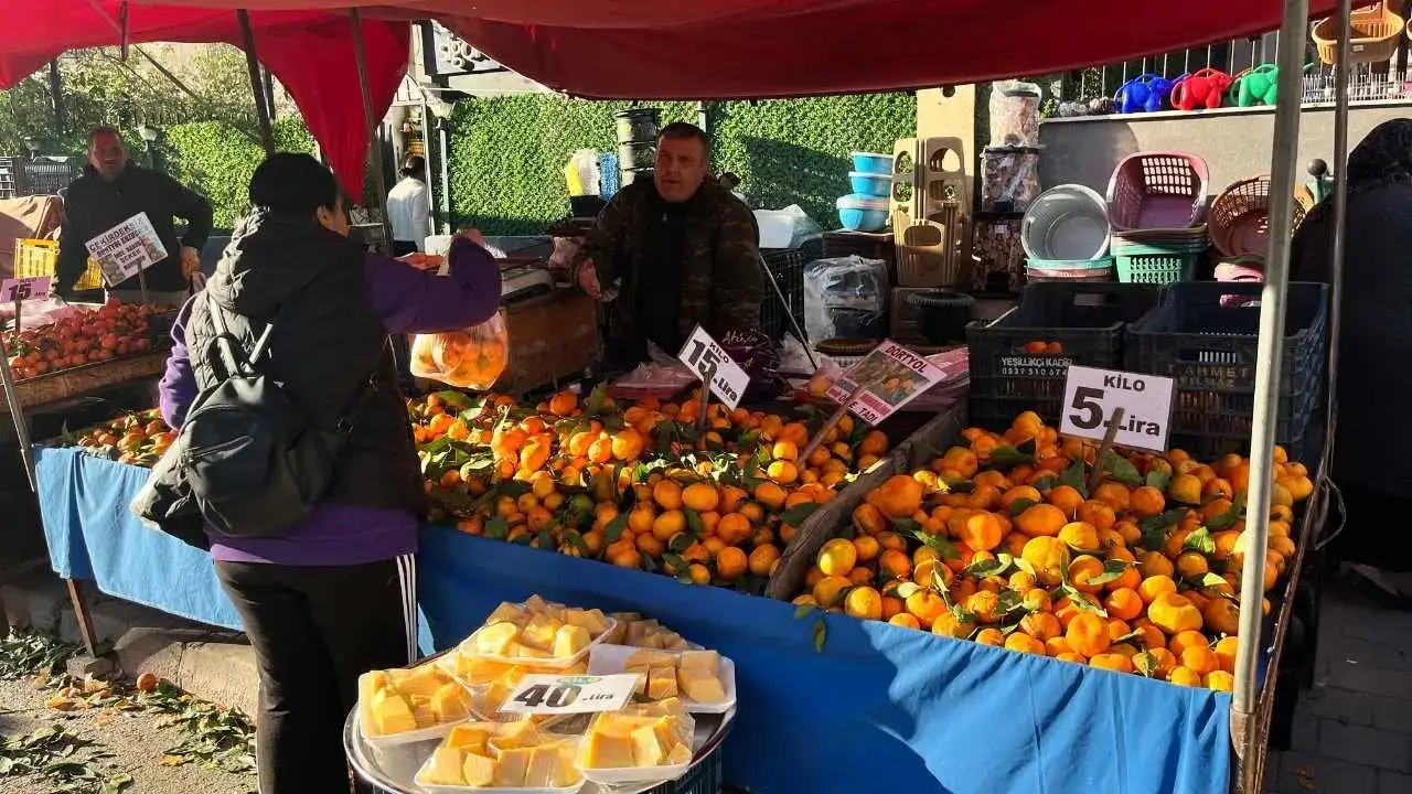 Adana’da Mandalina Fiyatları Dip Yaptı: Hasat Var, Alıcı Yok! 3